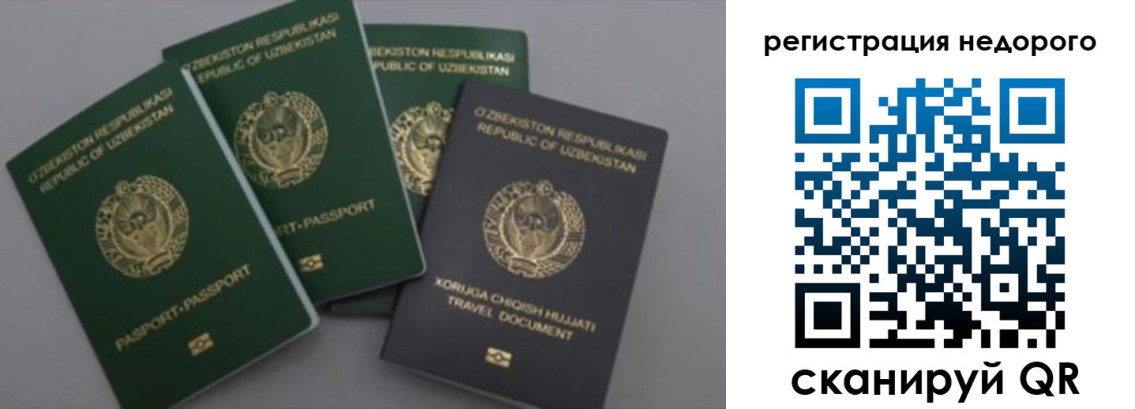 пропишу в квартире в Сочи